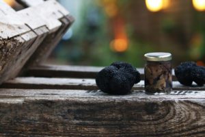 Les petits secrets de Margaux. La truffe noire du Périgord : comment la  reconnaître ?