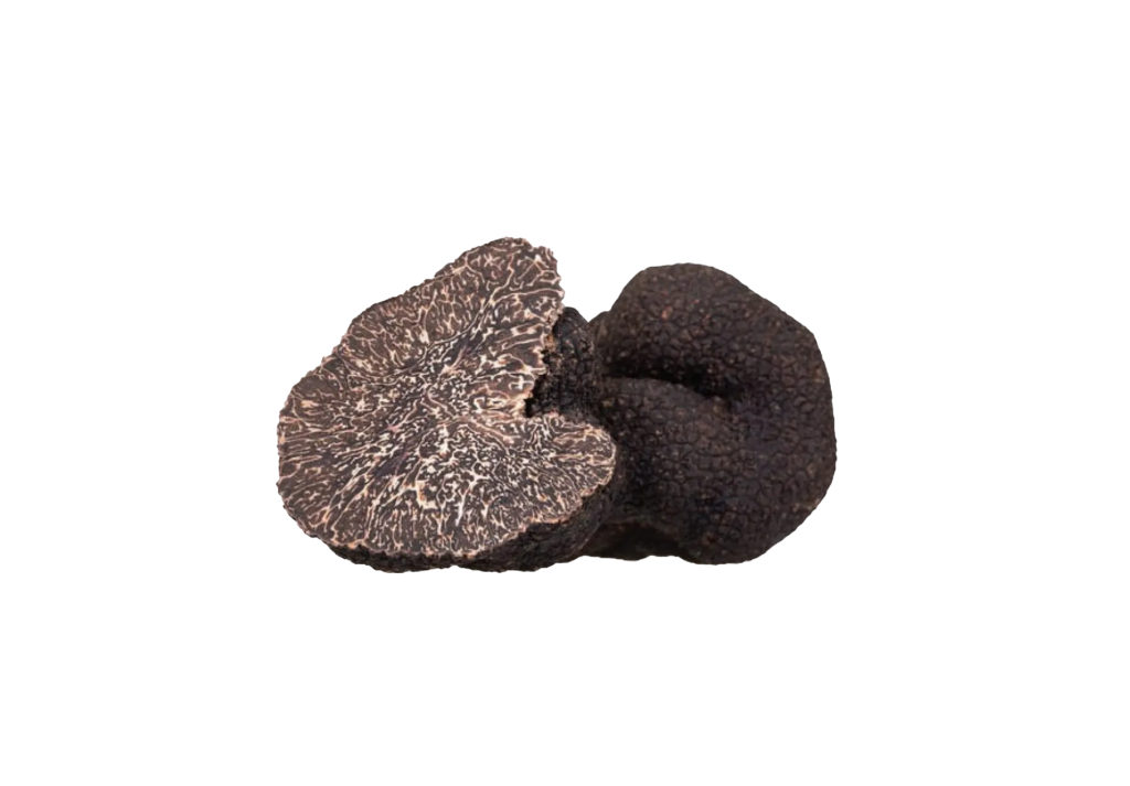 truffe noire