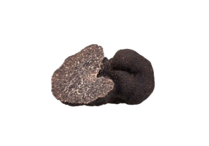 truffe noire