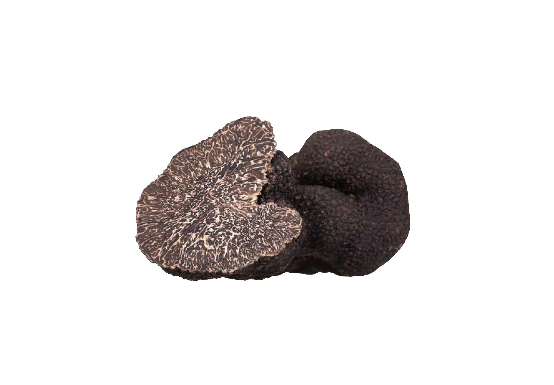 truffe noire