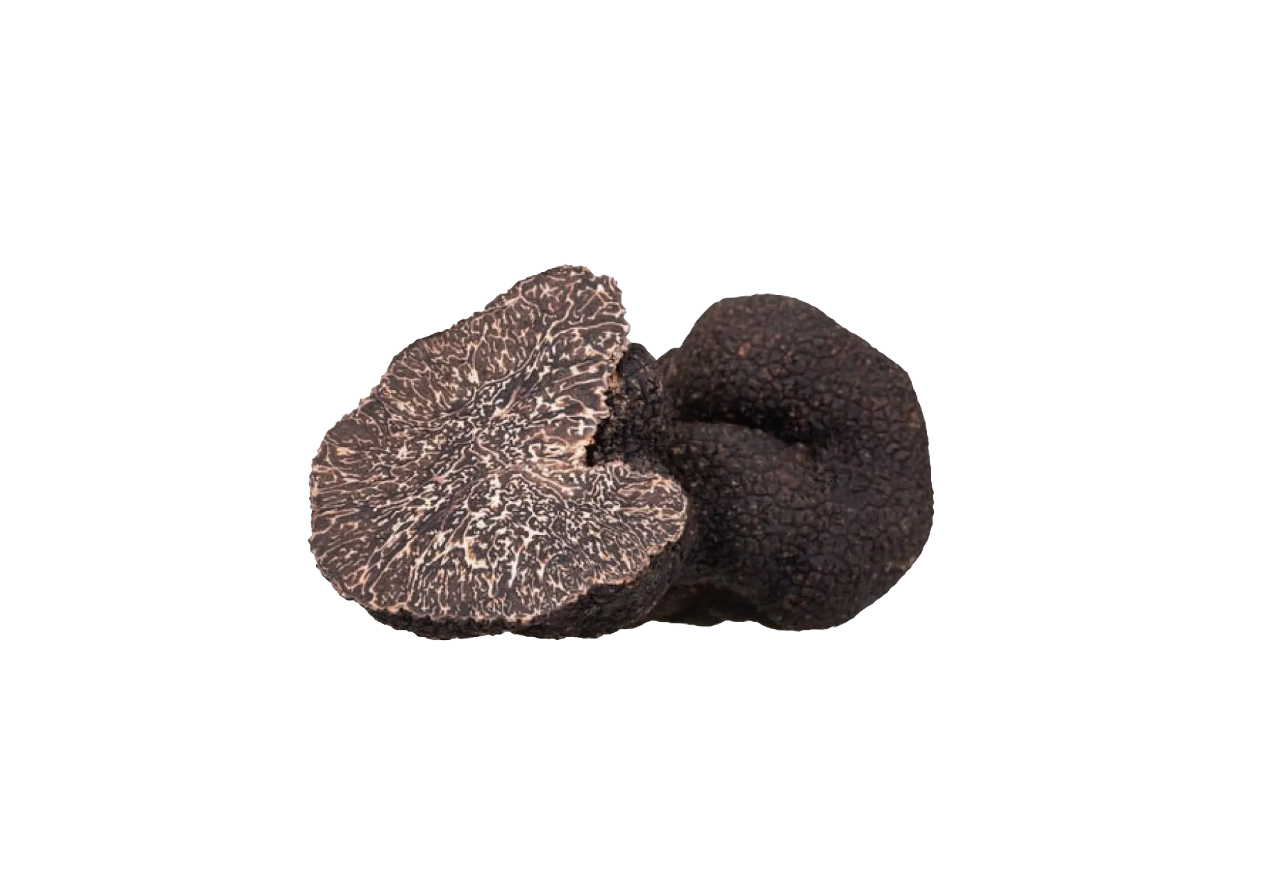 La truffe blanche d'Italie peut enfin être cultivée Truffe noire