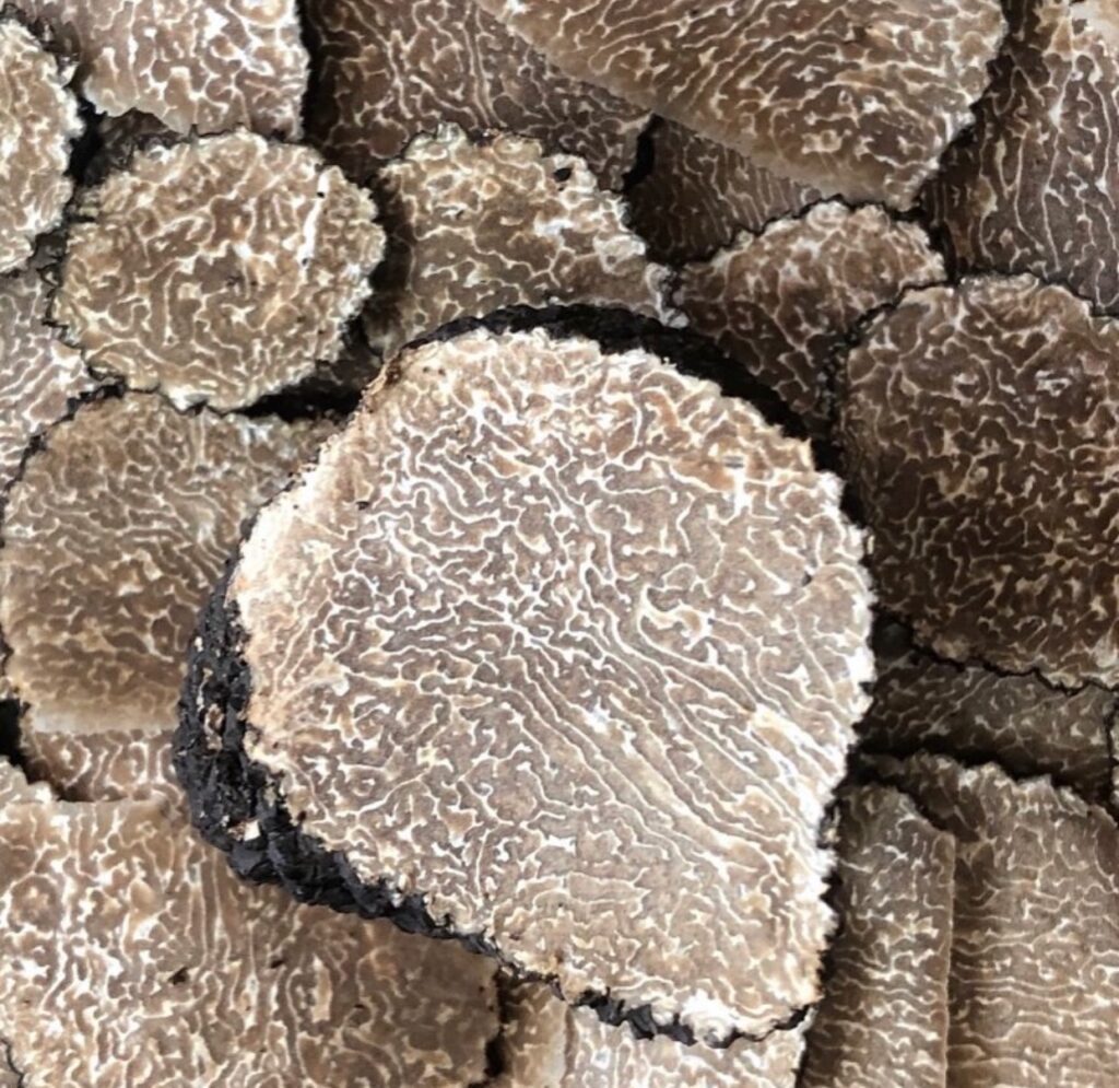Tuto : Comment reconnaitre la truffe blanche d'été