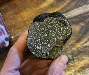 truffe-noire-intérieur-maturité