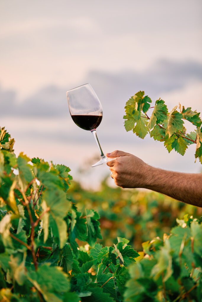 Cité du vin x Le Comptoir d'Alba - Place à gagner