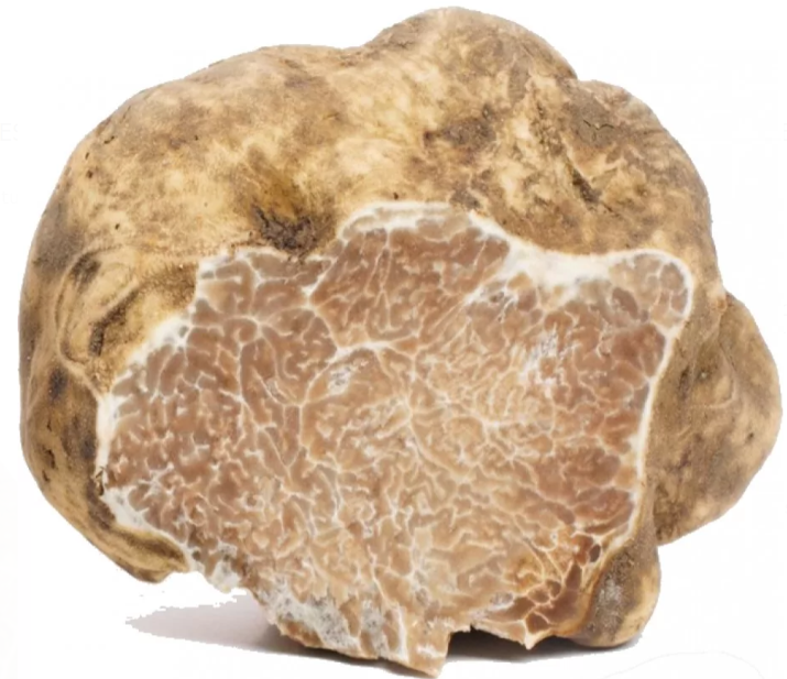 Truffe d'Alba (Tuber Magnatum Pico)
